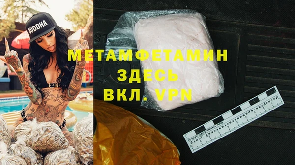 шишки Магас