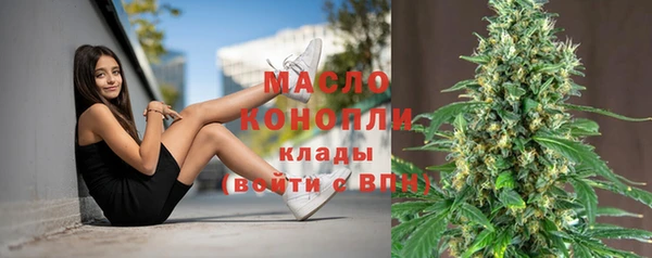 шишки Магас