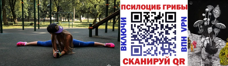 Галлюциногенные грибы Psilocybe  даркнет телеграм  Называевск 